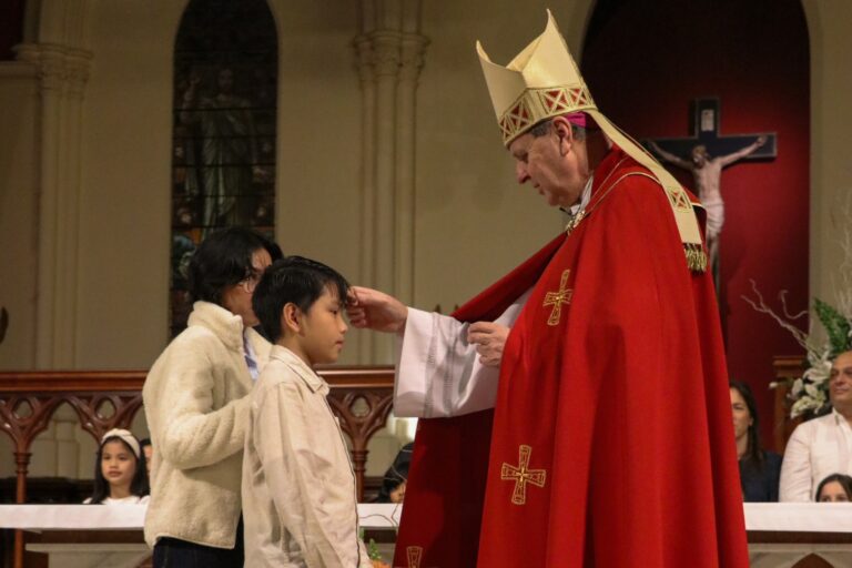 Holy Confirmation Process Confirmation - St Patrick's Cathedral